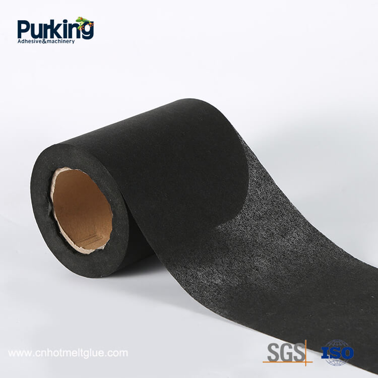 पग्लियो